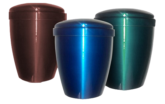 10333 removebg preview