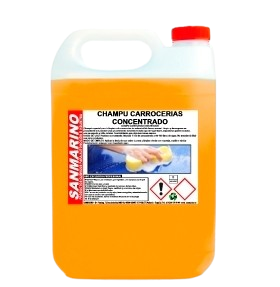 limpiezacoches removebg preview